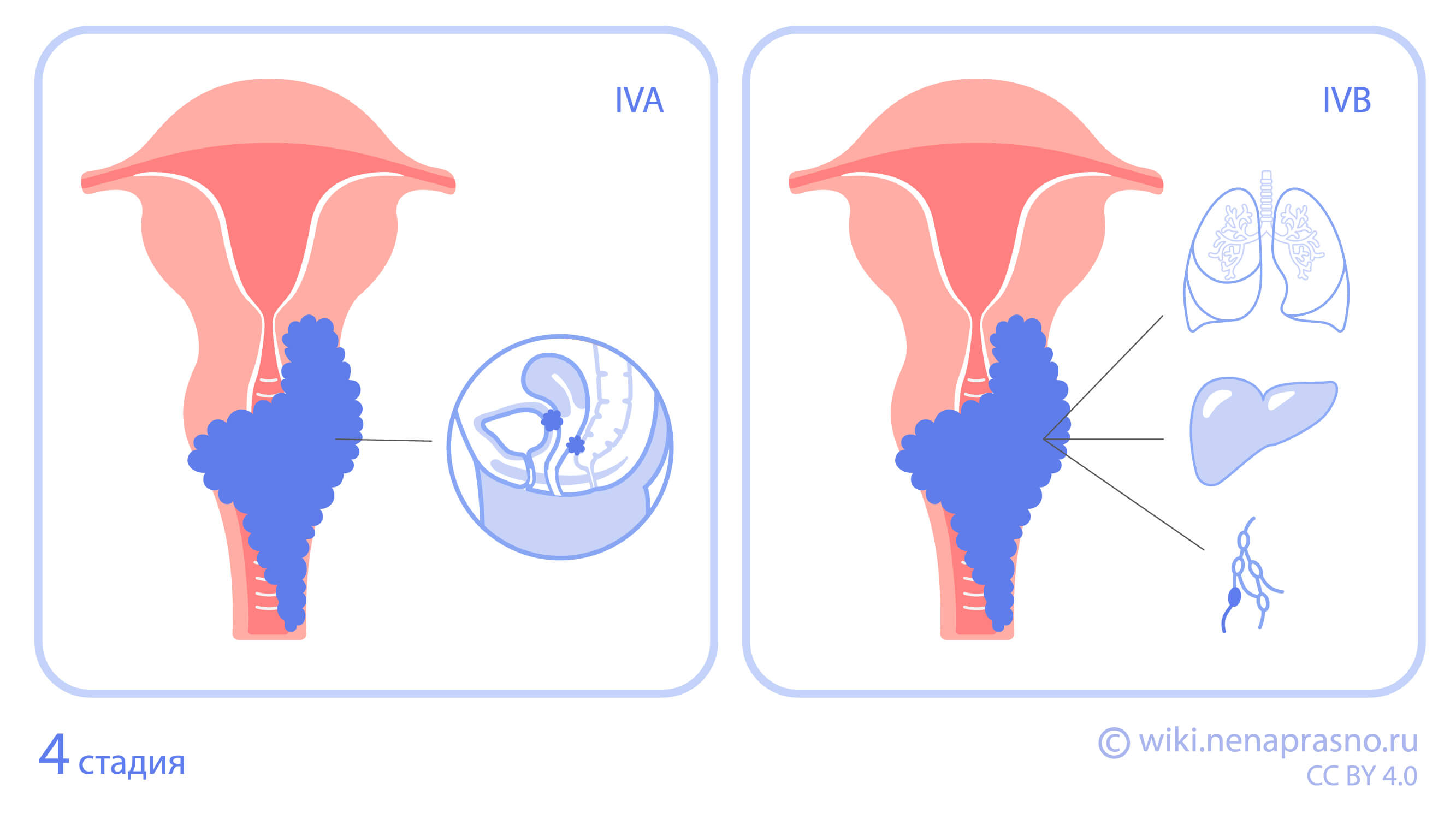 6a5cc2bb984f66bc49d1cffae0dc8dff02a9f430