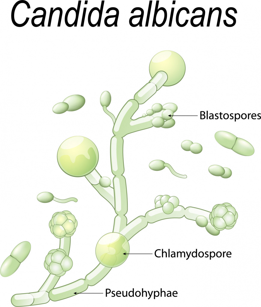 d29b49ccfe770f215bf7b01b406a2d2f