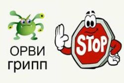 grippiorvi161219