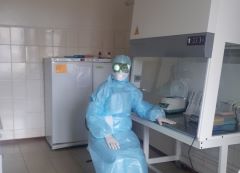 lab