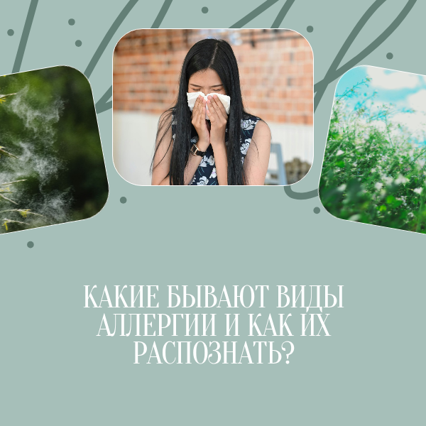 Аллергия болезнь века что нужно знать 2