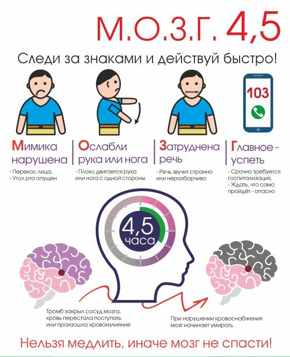 МОЗГ45